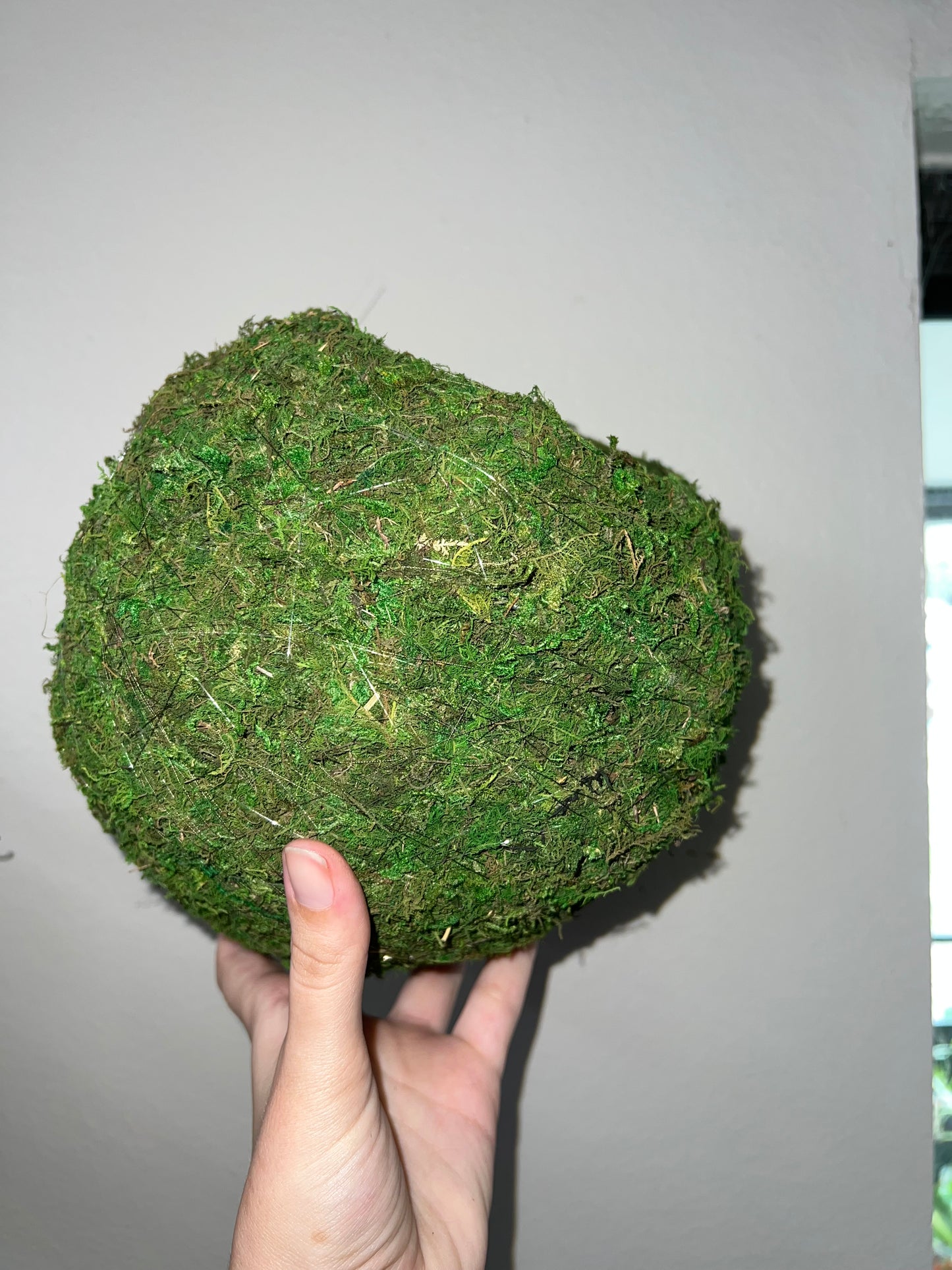 Large Kokedoma Moss Ball
