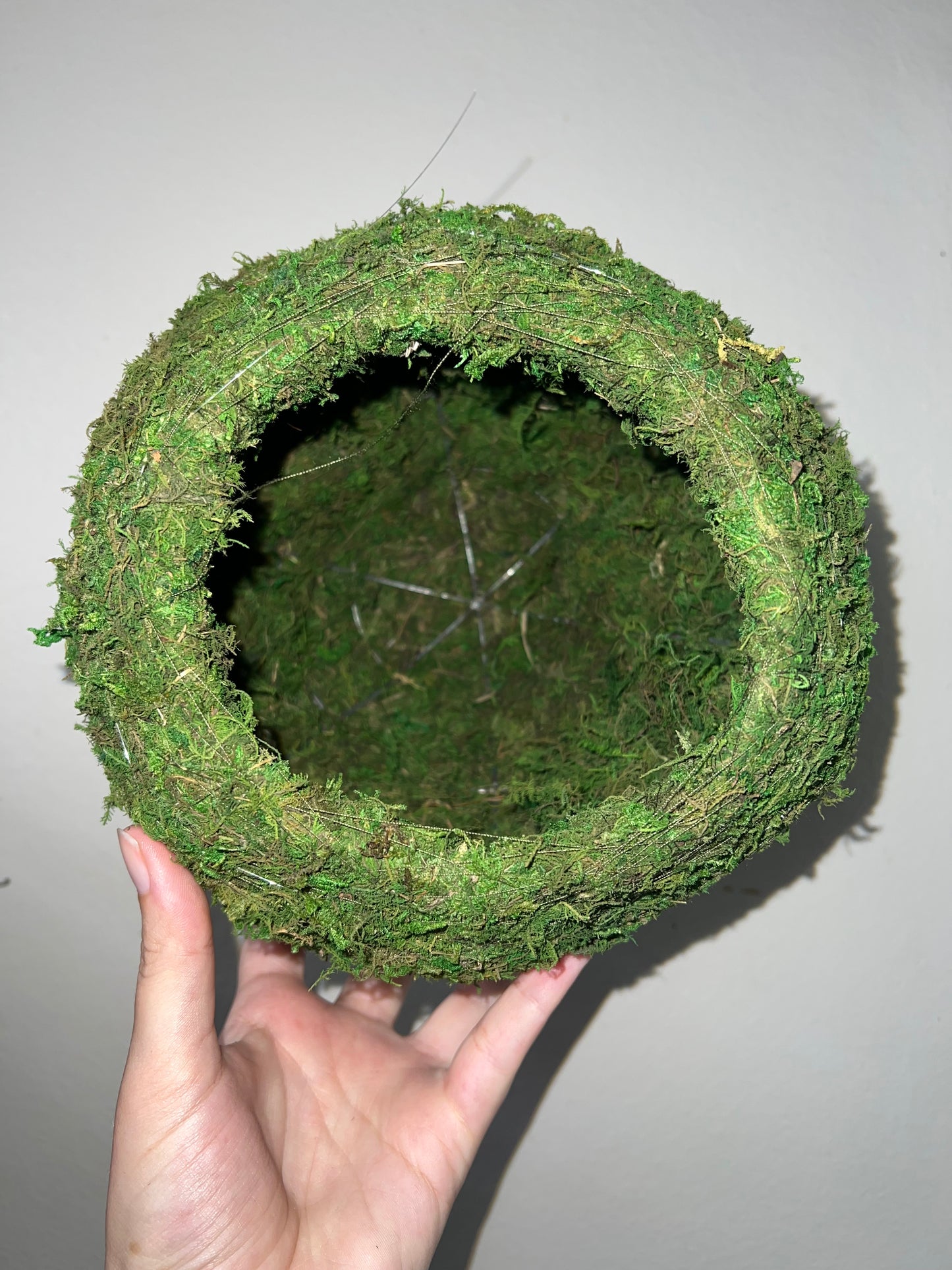 Large Kokedoma Moss Ball