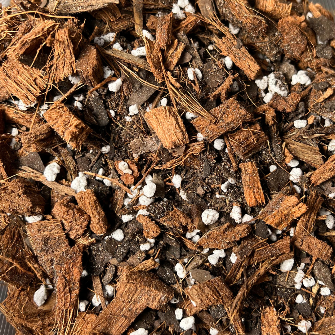 Aroid Soil Mix