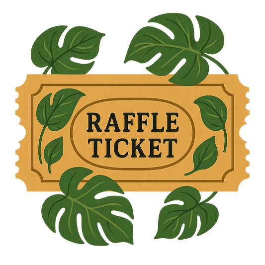 Raffle Ticket (Philodendron Caramel Marble)