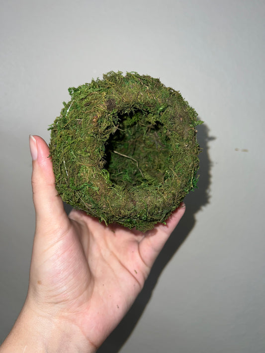 Small Kokedoma Moss Ball Planter