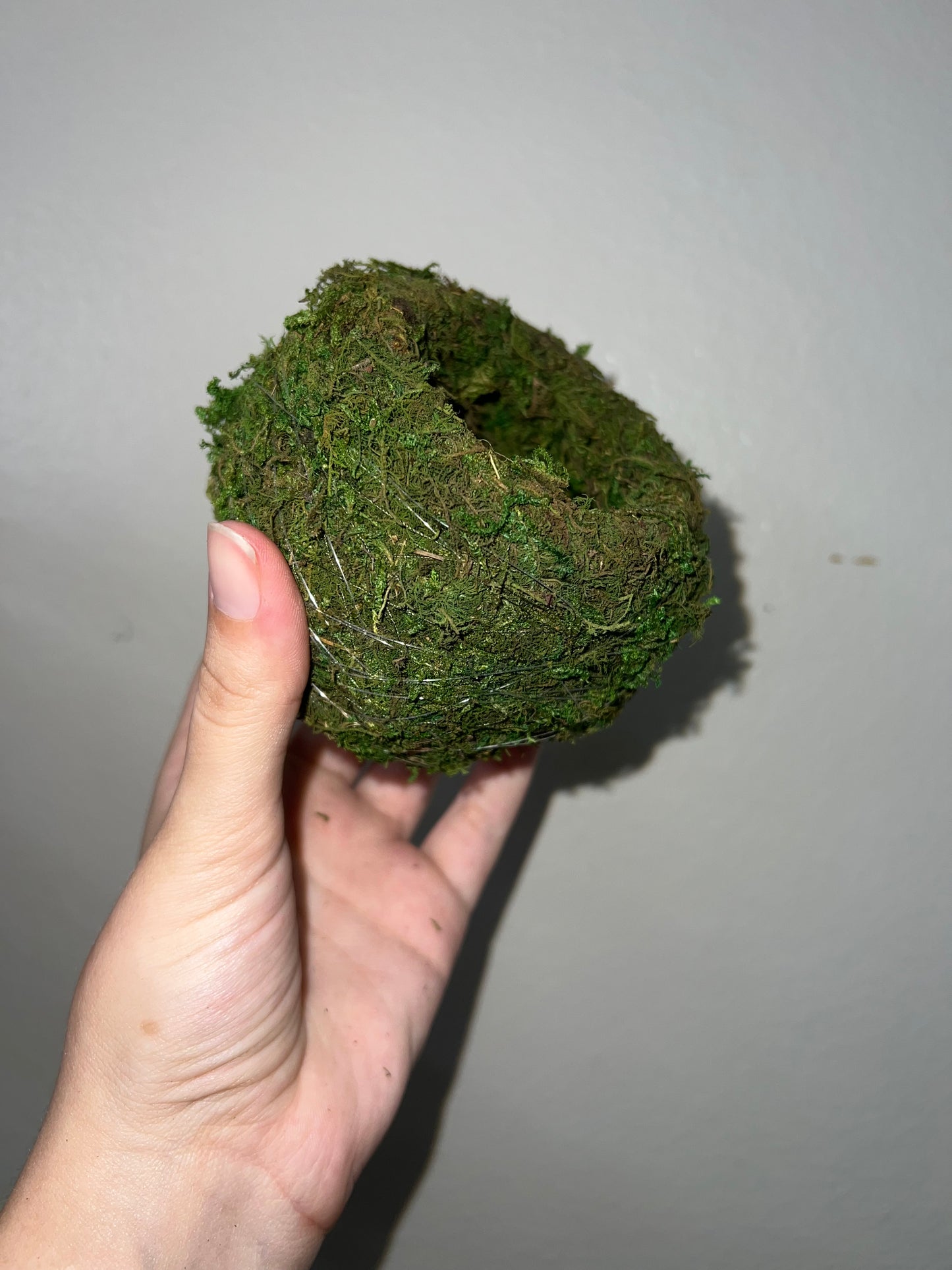 Small Kokedoma Moss Ball Planter