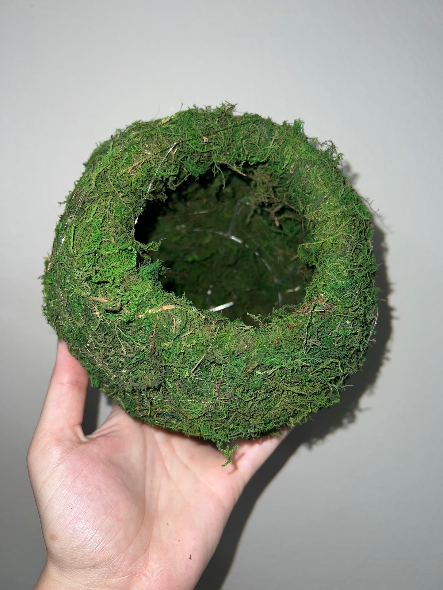 Medium Kokedoma Moss Ball