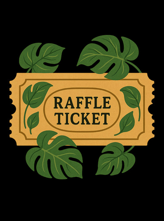 Raffle Ticket (Philodendron Florida Beauty X Mayoi)