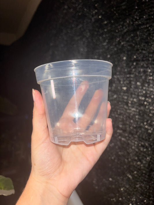 4” Clear Pot